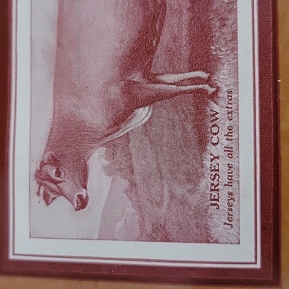 Remelon Plastic Wallet Featuring Jersey Cow Farmer, Vintage - Picture 10 of 10